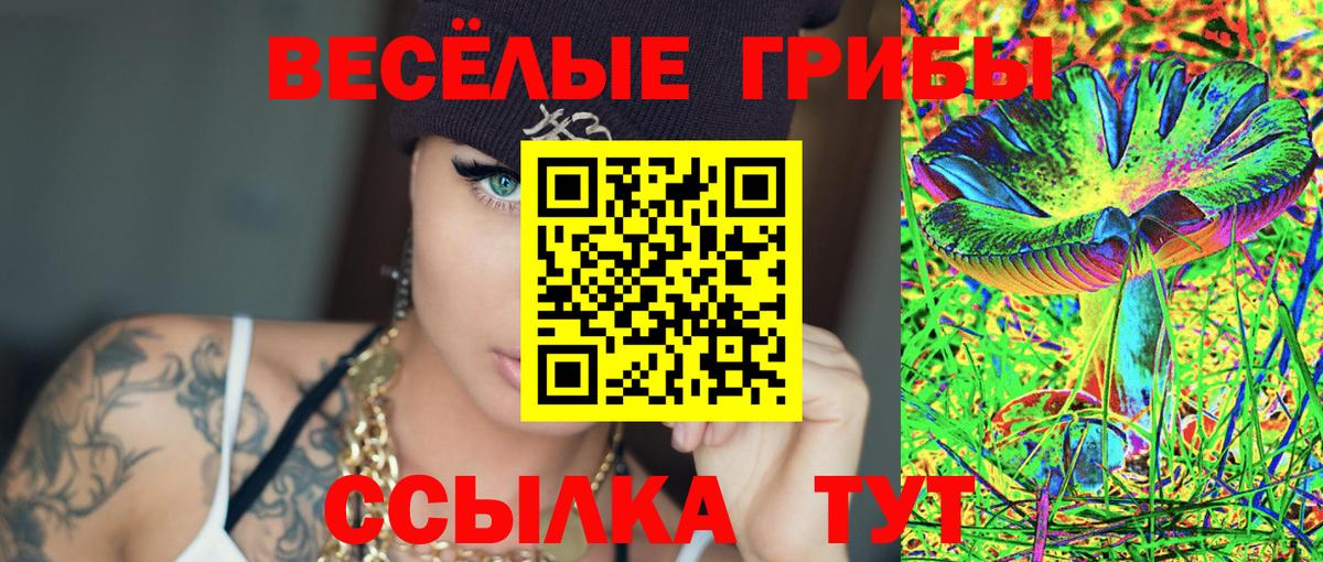 Галлюциногенные грибы GOLDEN TEACHER Краснокаменск