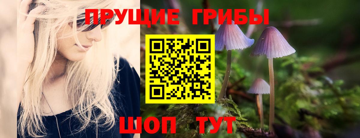 Краснокаменск  Галлюциногенные грибы прущие грибы  Вход с VPN  Псилоцибиновые грибы ЛСД 